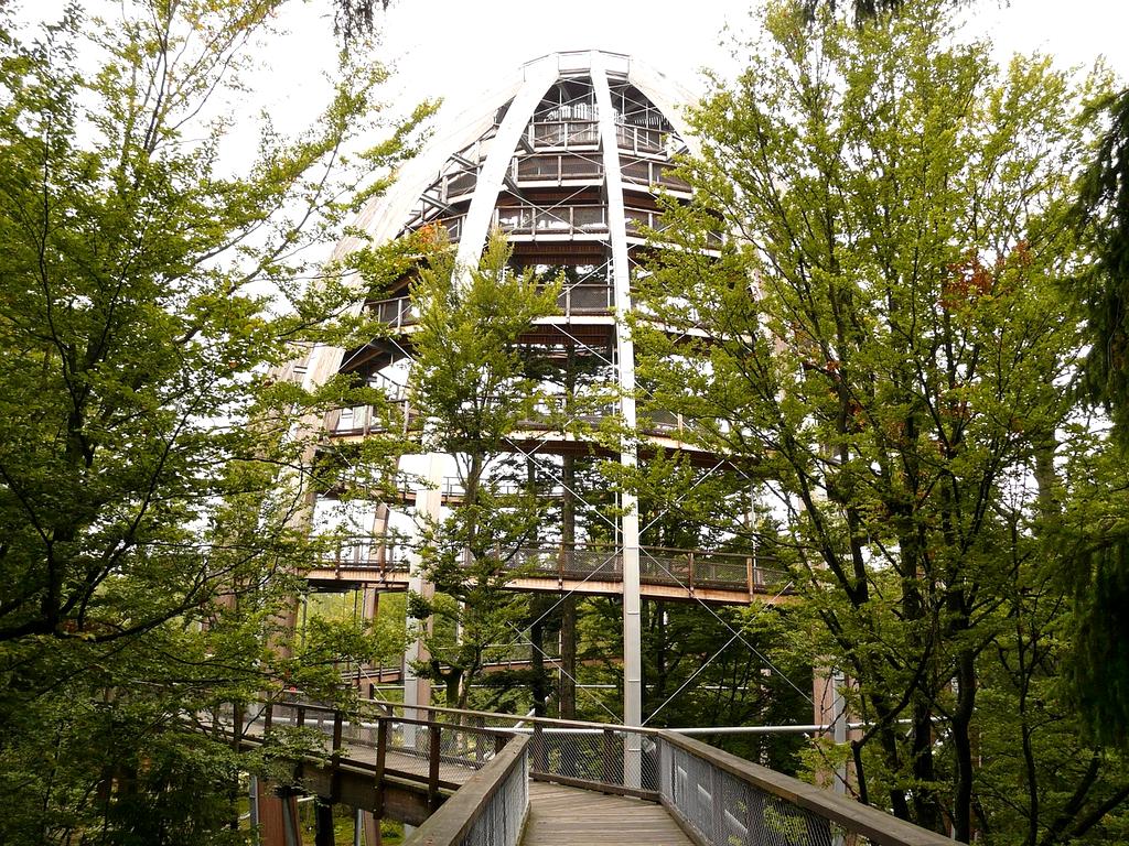 Group of diverse learners collaborating in a modern European classroom