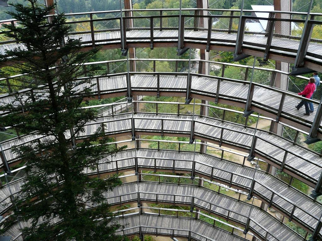 Open book with digital notes and educational graphics