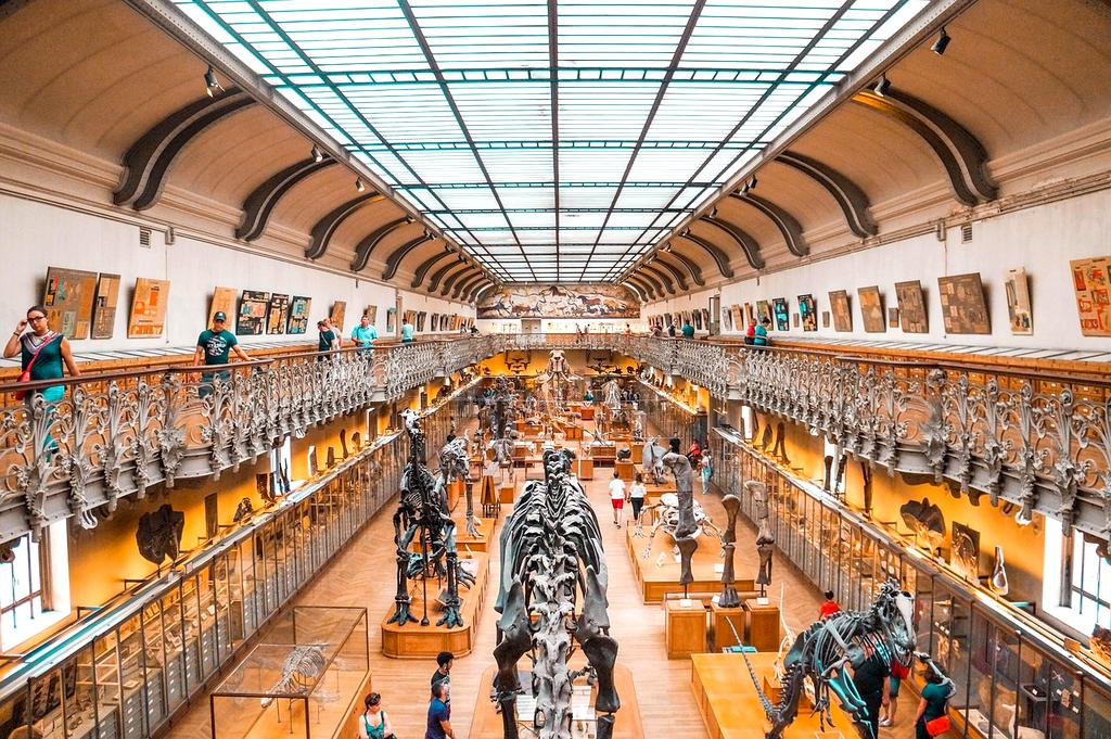 Group of learners engaged in a structured course environment