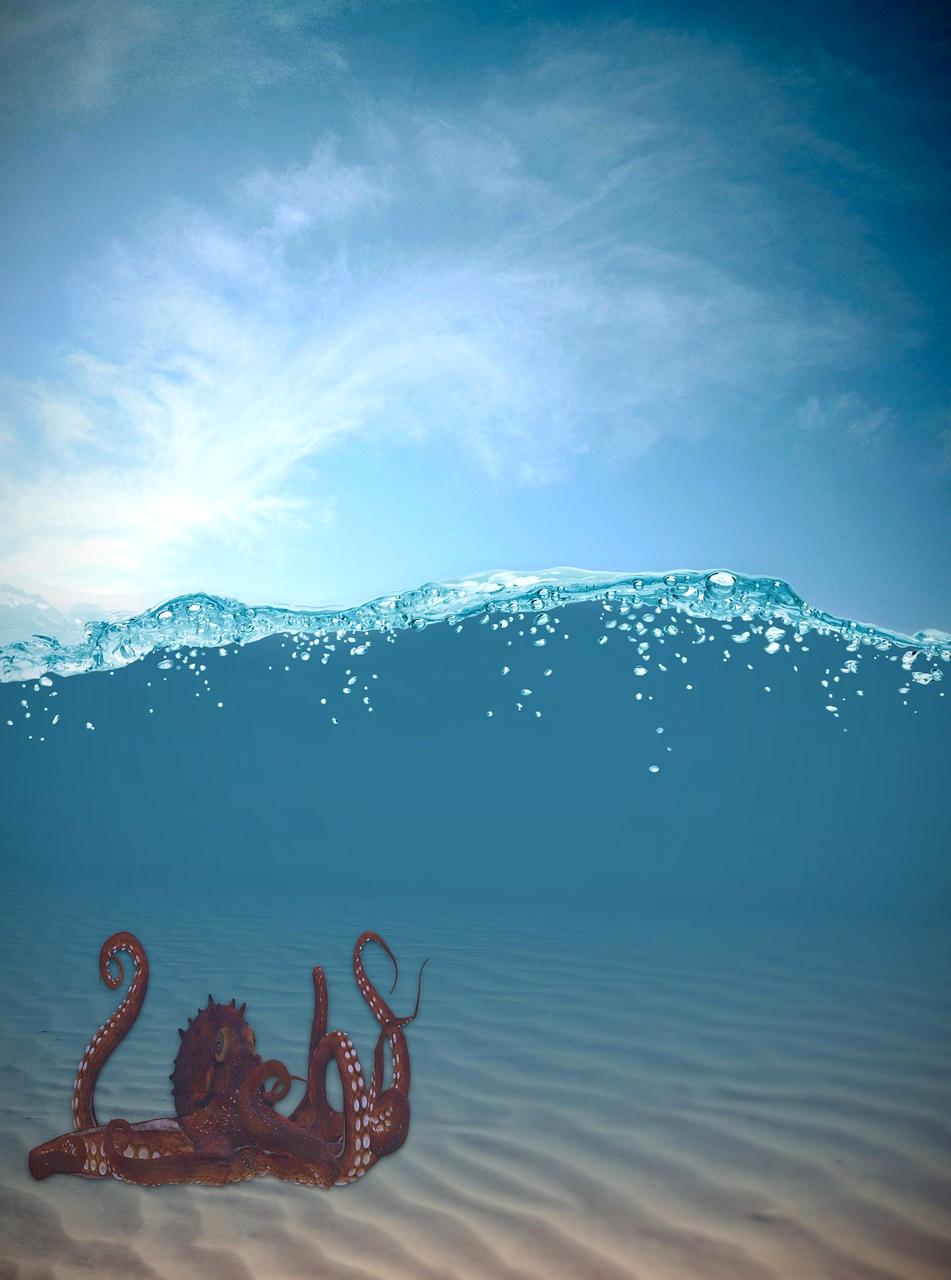 Ocean plastic removal initiative supported by educational platform environmental programs