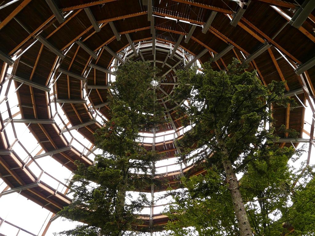 Portrait of Markus Vogel, Head of Technology